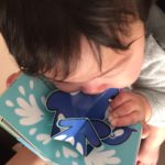 シャチにかぶりつくムスコ君