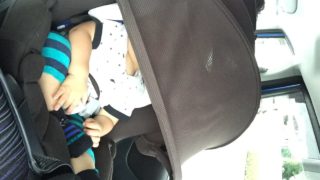 Thumbnail of post image 029