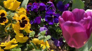 Thumbnail of post image 022