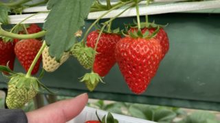 Thumbnail of post image 123